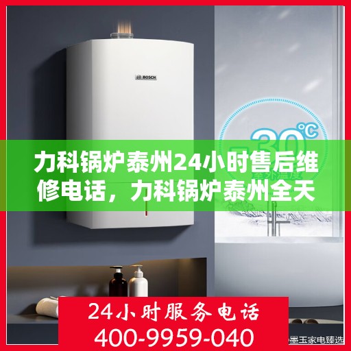 力科锅炉泰州24小时售后维修电话，力科锅炉泰州全天候售后维修热线