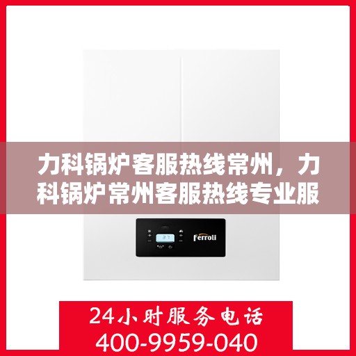 力科锅炉客服热线常州，力科锅炉常州客服热线专业服务，为您解答每一个疑问