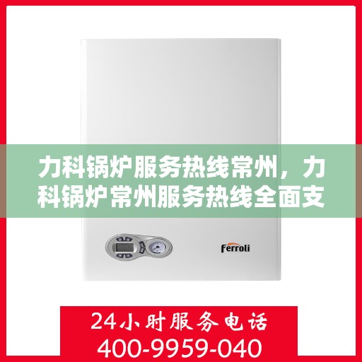力科锅炉服务热线常州，力科锅炉常州服务热线全面支持，专业维修团队为您解答！