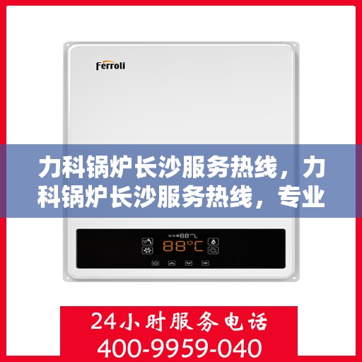 力科锅炉长沙服务热线，力科锅炉长沙服务热线，专业团队，贴心服务