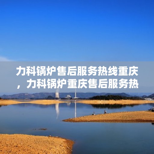力科锅炉售后服务热线重庆，力科锅炉重庆售后服务热线全面支持