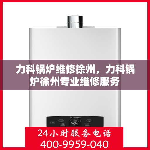 力科锅炉维修徐州，力科锅炉徐州专业维修服务