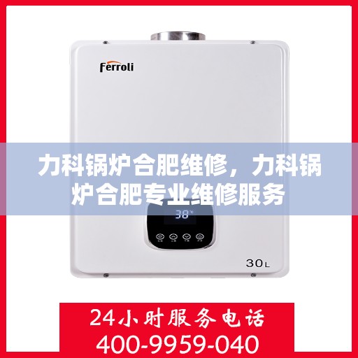 力科锅炉合肥维修，力科锅炉合肥专业维修服务