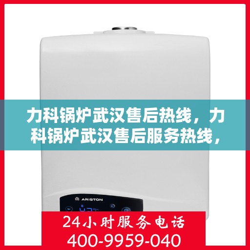 力科锅炉武汉售后热线，力科锅炉武汉售后服务热线，专业解决您的锅炉问题