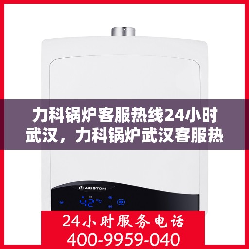 力科锅炉客服热线24小时武汉，力科锅炉武汉客服热线全天候服务，温暖您的每一刻