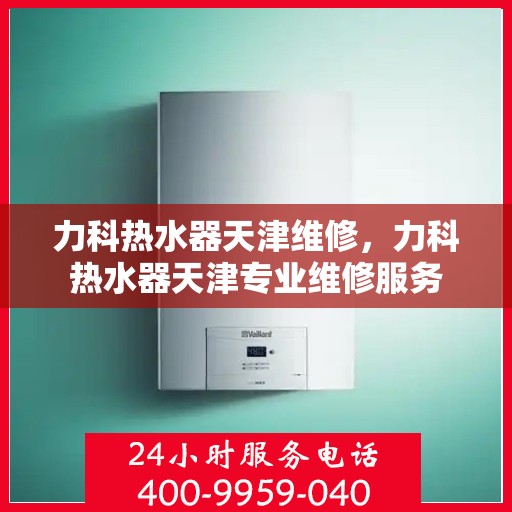 力科热水器天津维修，力科热水器天津专业维修服务