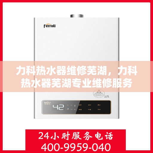 力科热水器维修芜湖，力科热水器芜湖专业维修服务
