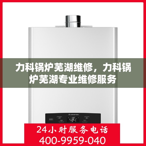 力科锅炉芜湖维修，力科锅炉芜湖专业维修服务