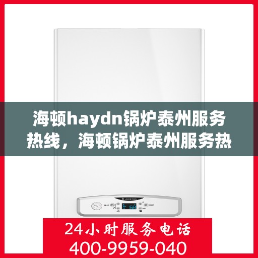 海顿haydn锅炉泰州服务热线，海顿锅炉泰州服务热线，专业团队，贴心服务